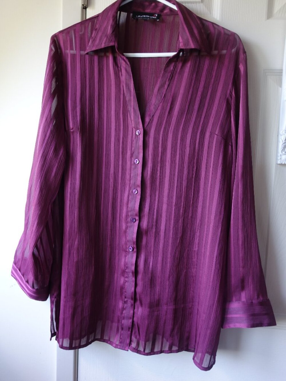 Laura Petites Plum Sheer Button-Front Blouse
